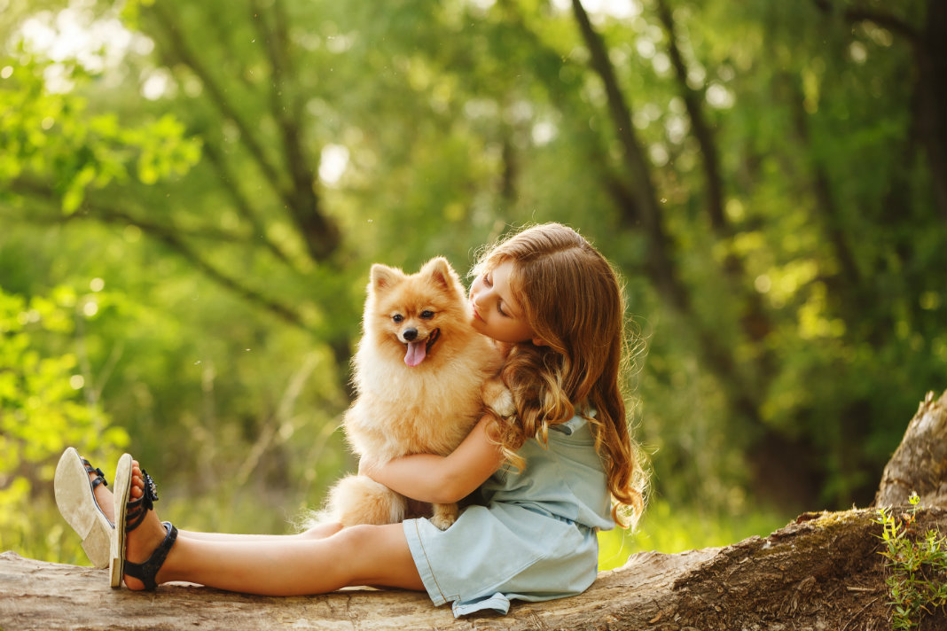 Best Dog Breeds for Families