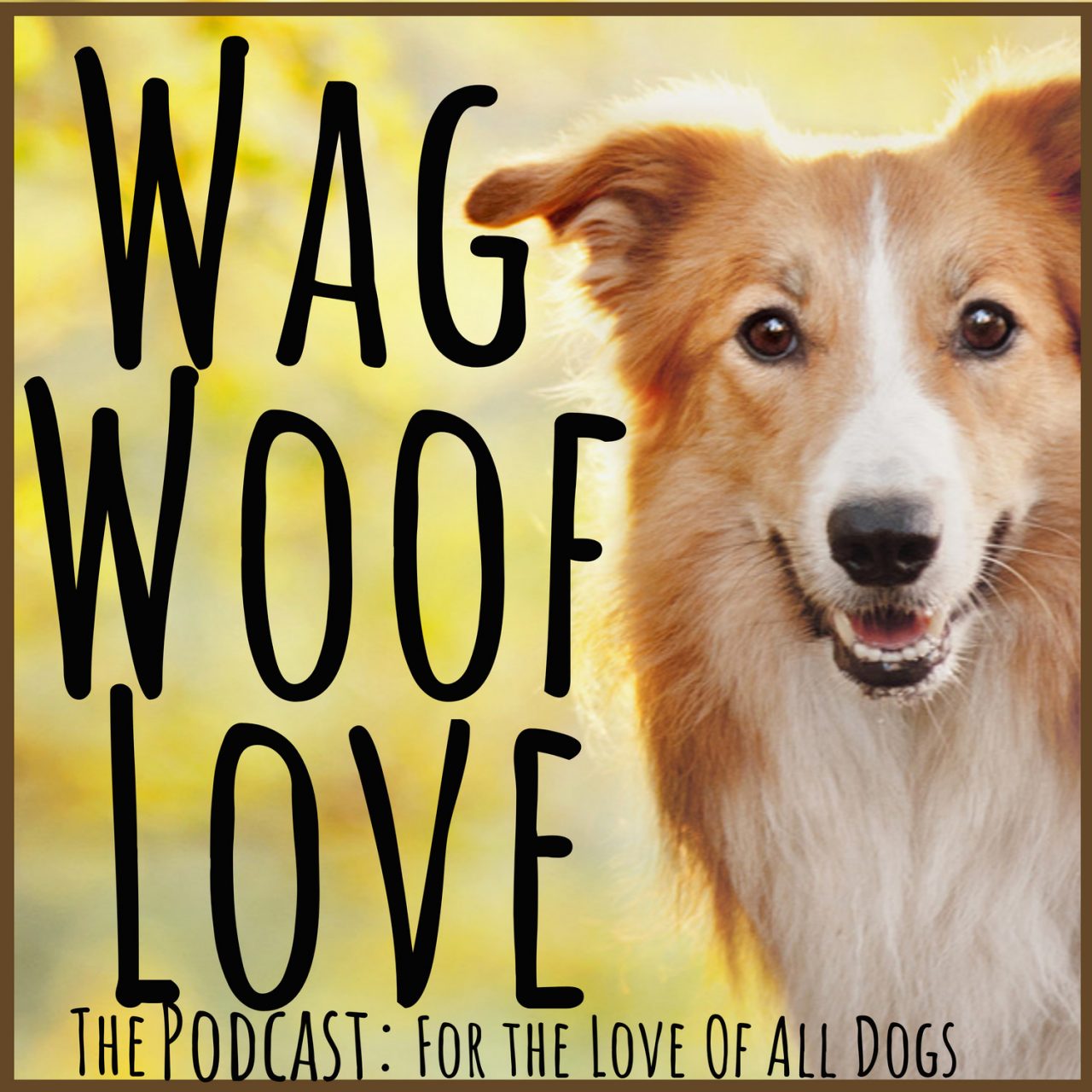 the-meaning-of-fido-wag-woof-love