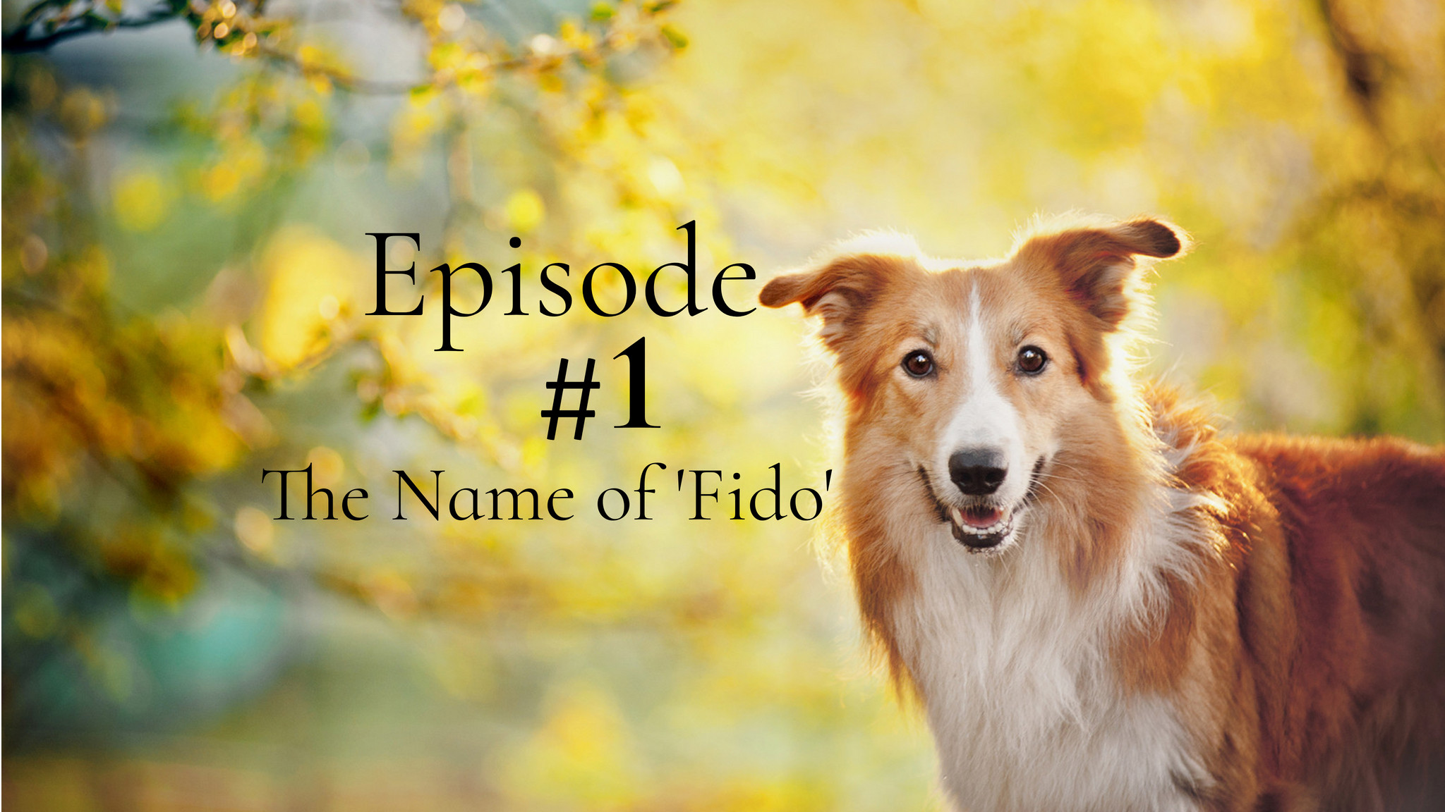 Fido File Meaning In English