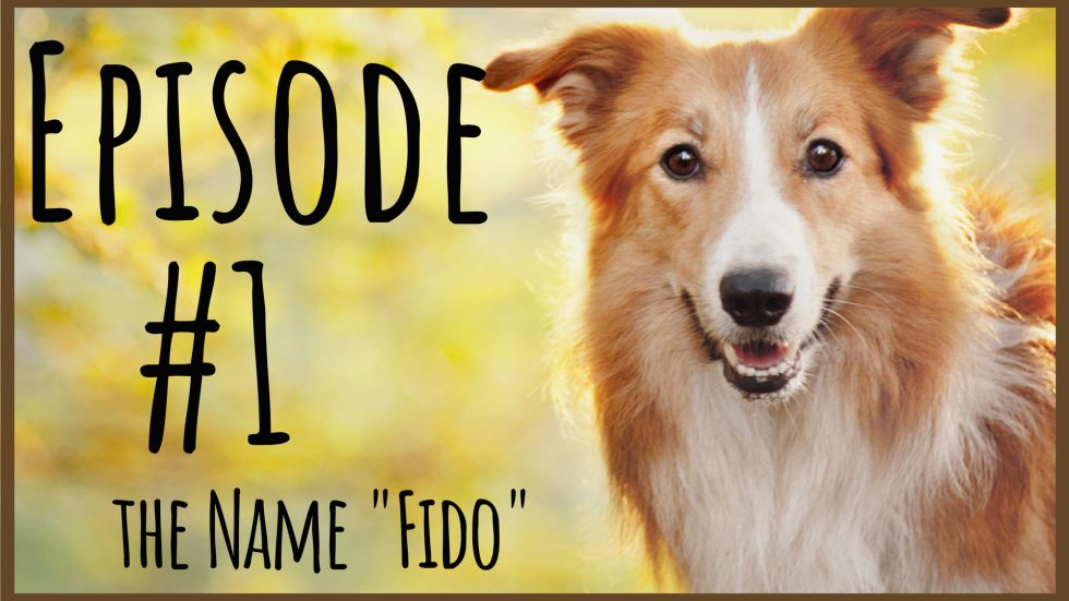 The Meaning Of Fido Wag Woof Love